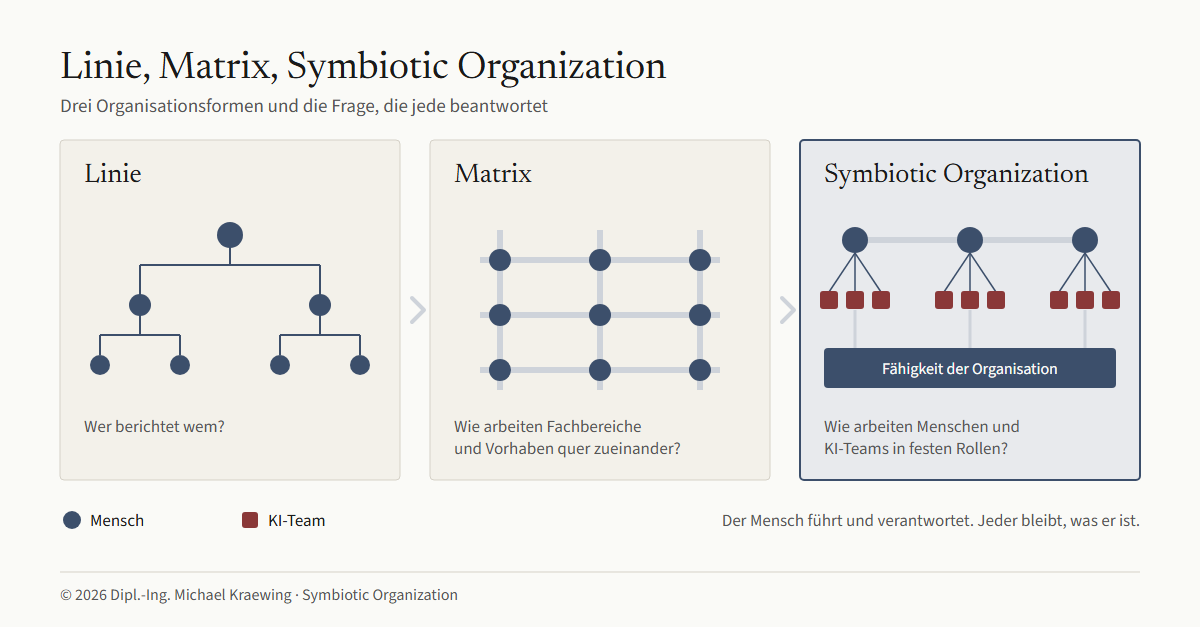 Grafik 1: Linie, Matrix, Symbiotic Organization